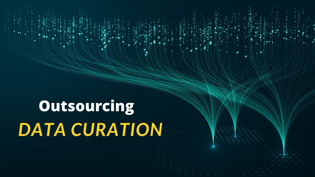 Data Curation